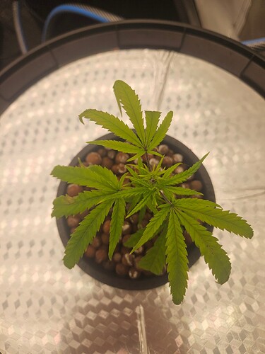 Growreport Bild 40