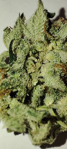 Growreport Bild 2