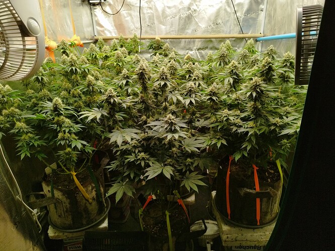 Growreport Bild 10