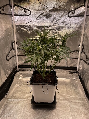 Growreport Bild 12