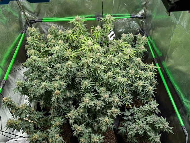 Growreport Bild 5