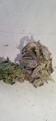 Growreport Bild 21