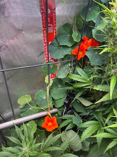 Growreport Bild 24
