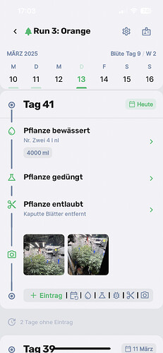 Growreport Bild 9