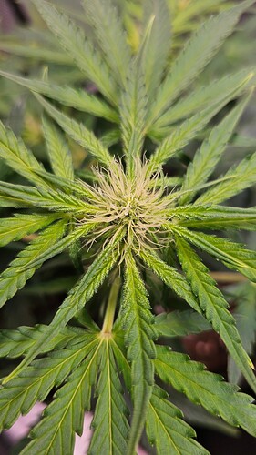 Growreport Bild 27
