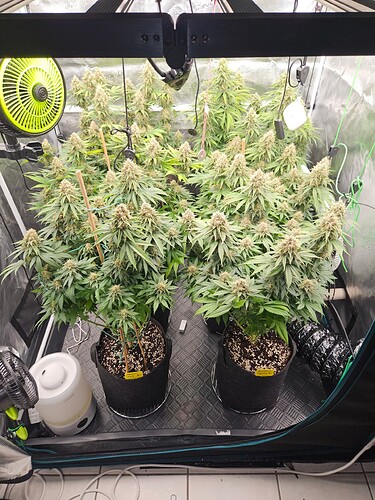 Growreport Bild 23