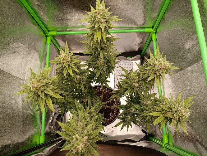 Growreport Bild 10
