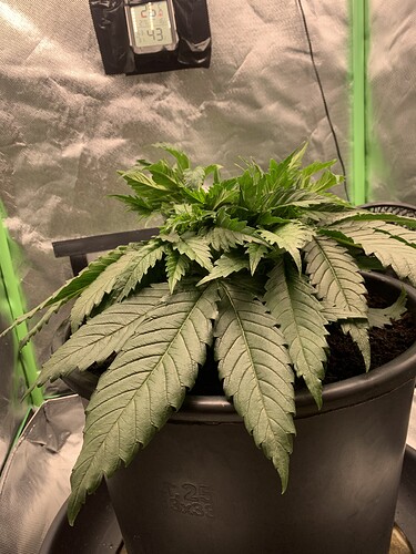 Growreport Bild 2