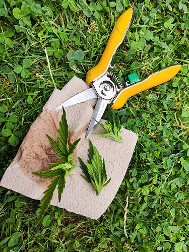 Growreport Bild 10