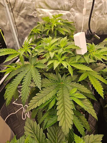 Growreport Bild 24