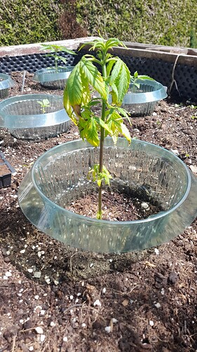 Growreport Bild 7