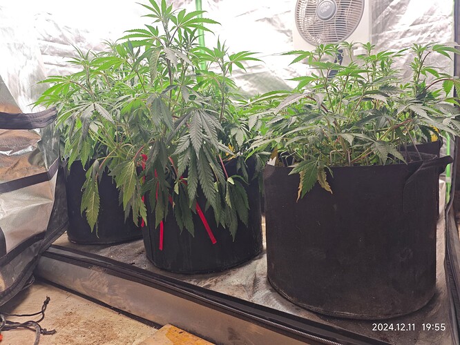 Growreport Bild 10