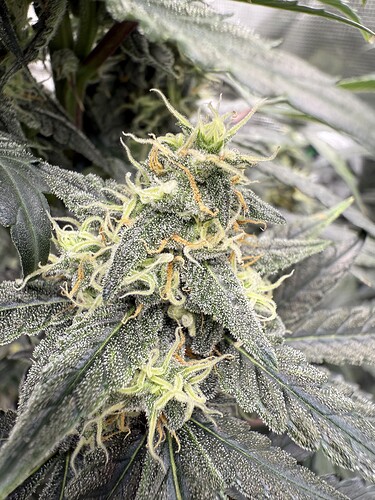Growreport Bild 14