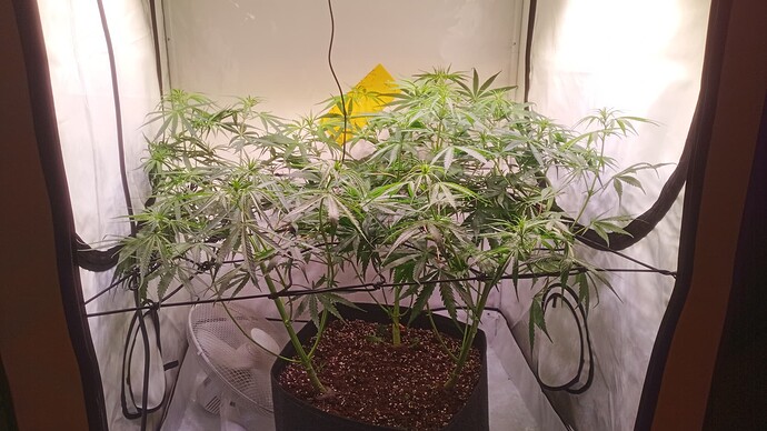 Growreport Bild 24