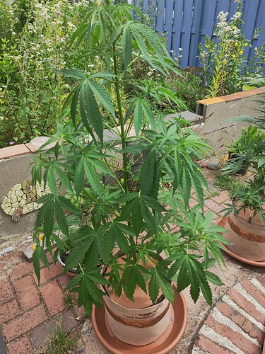 Growreport Bild 13