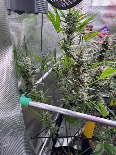 Growreport Bild 8