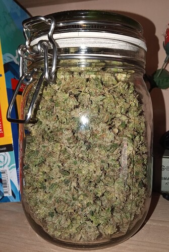 Growreport Bild 1