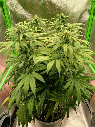 Growreport Bild 18