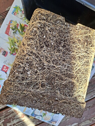 Growreport Bild 10