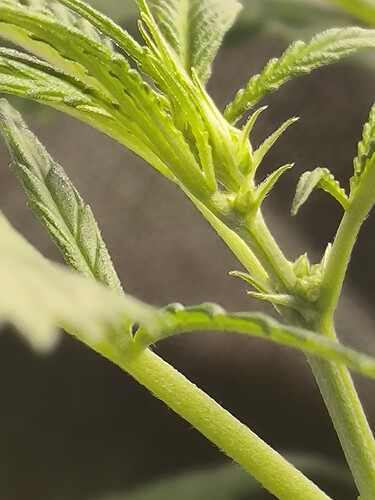 Growreport Bild 6