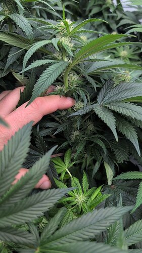 photo_2025-11-25_12-52-24