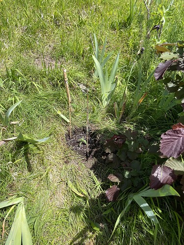 Growreport Bild 16