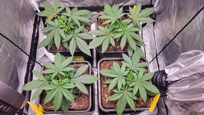 Growreport Bild 15
