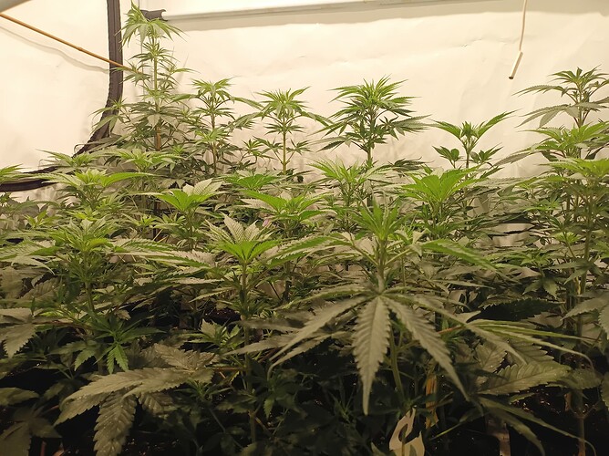 Growreport Bild 22