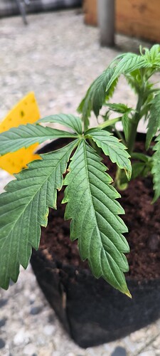 Growreport Bild 11