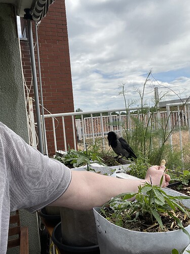 Growreport Bild 19