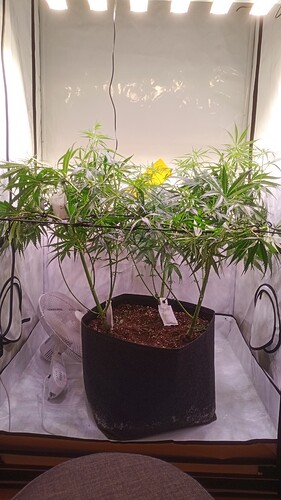 Growreport Bild 12
