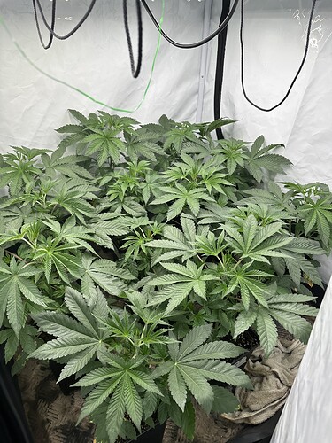 Growreport Bild 16