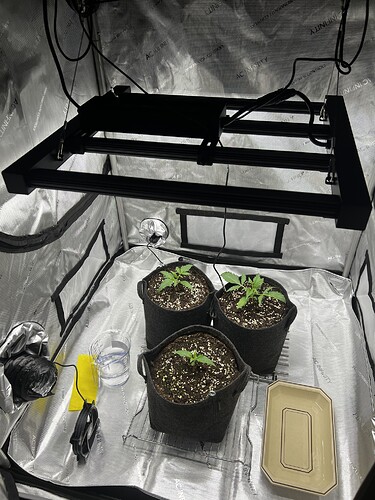 Growreport Bild 5