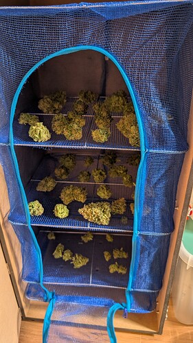 Growreport Bild 13