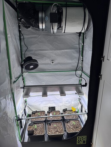 Growreport Bild 23