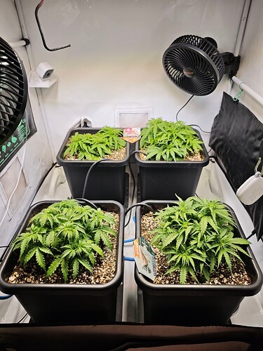 MVIMG_20251012_210437