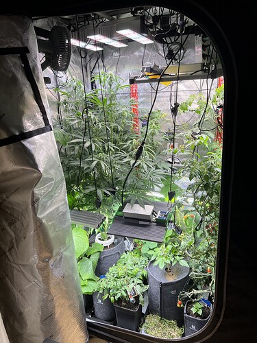 Growreport Bild 6