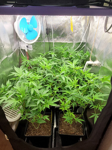 Growreport Bild 2