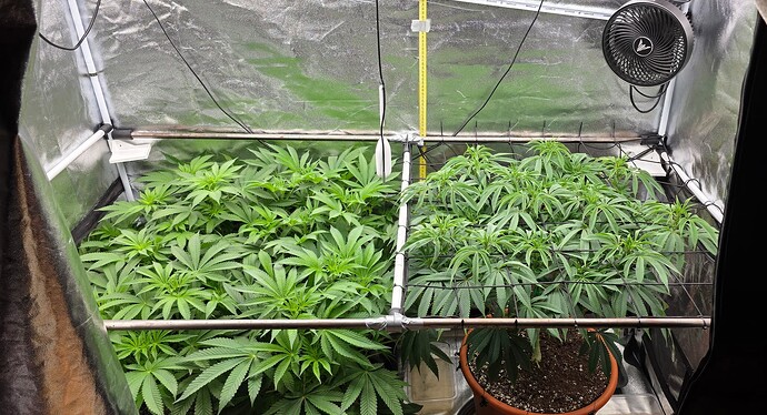 Growreport Bild 2