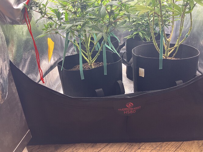 Growreport Bild 9