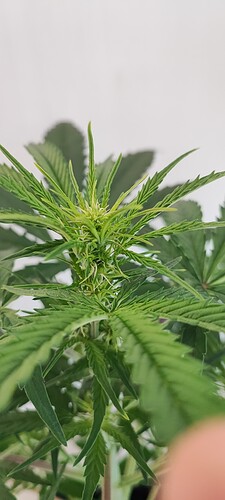 Growreport Bild 4