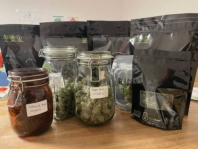 Growreport Bild 1