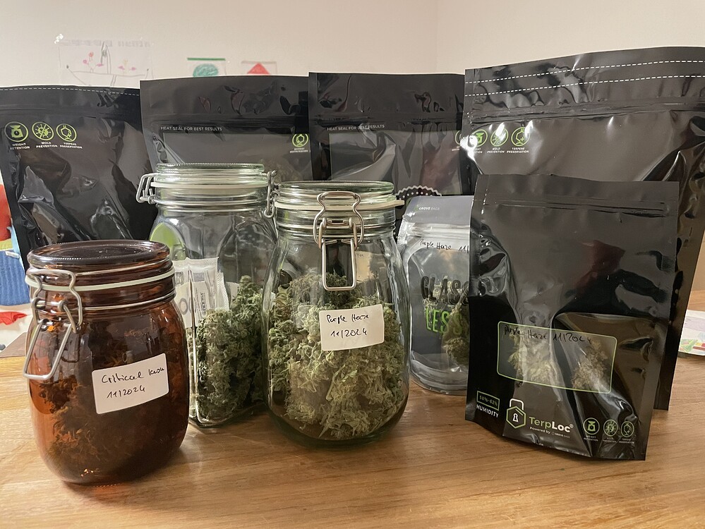 [Abschlussbericht] 2. Grow: 3 Autos in 20l Autopot FlexiPots mit Biotabs; 1x CBD, 1x Indica, 1x Sativa