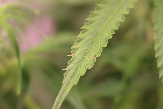 Growreport Bild 11