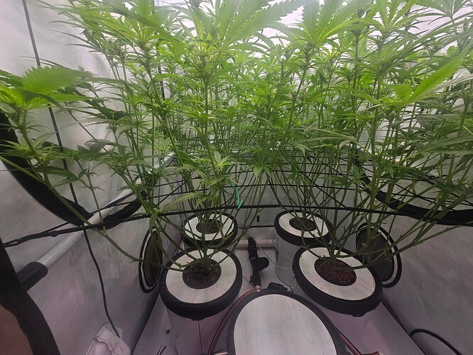 Growreport Bild 2
