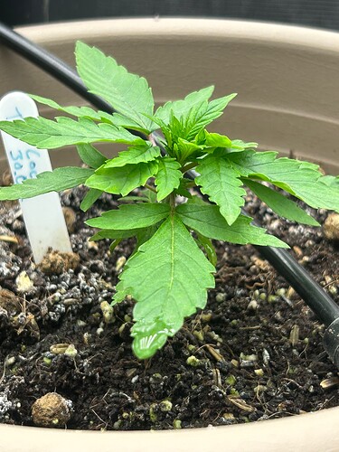 Growreport Bild 30