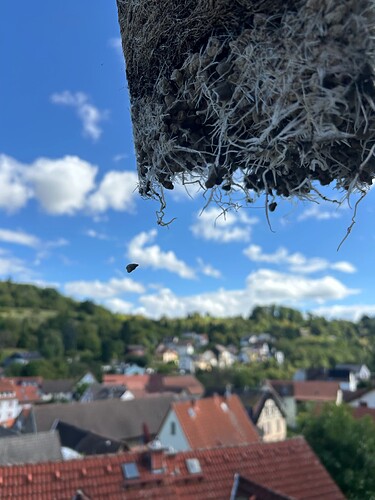 Growreport Bild 24