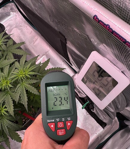 Growreport Bild 24