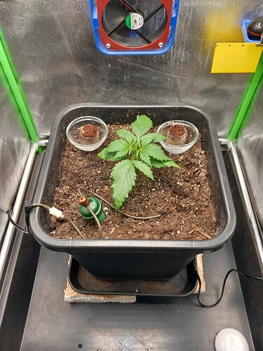 Growreport Bild 4