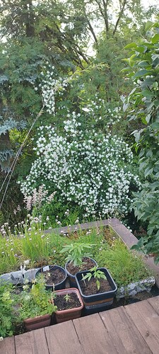 Growreport Bild 27